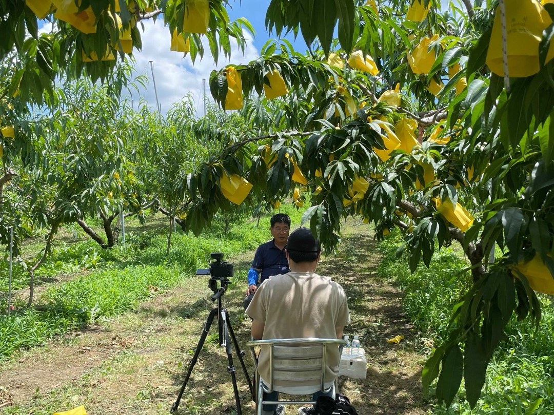 팜모닝 스토리 농민 인터뷰 과수원 촬영 현장