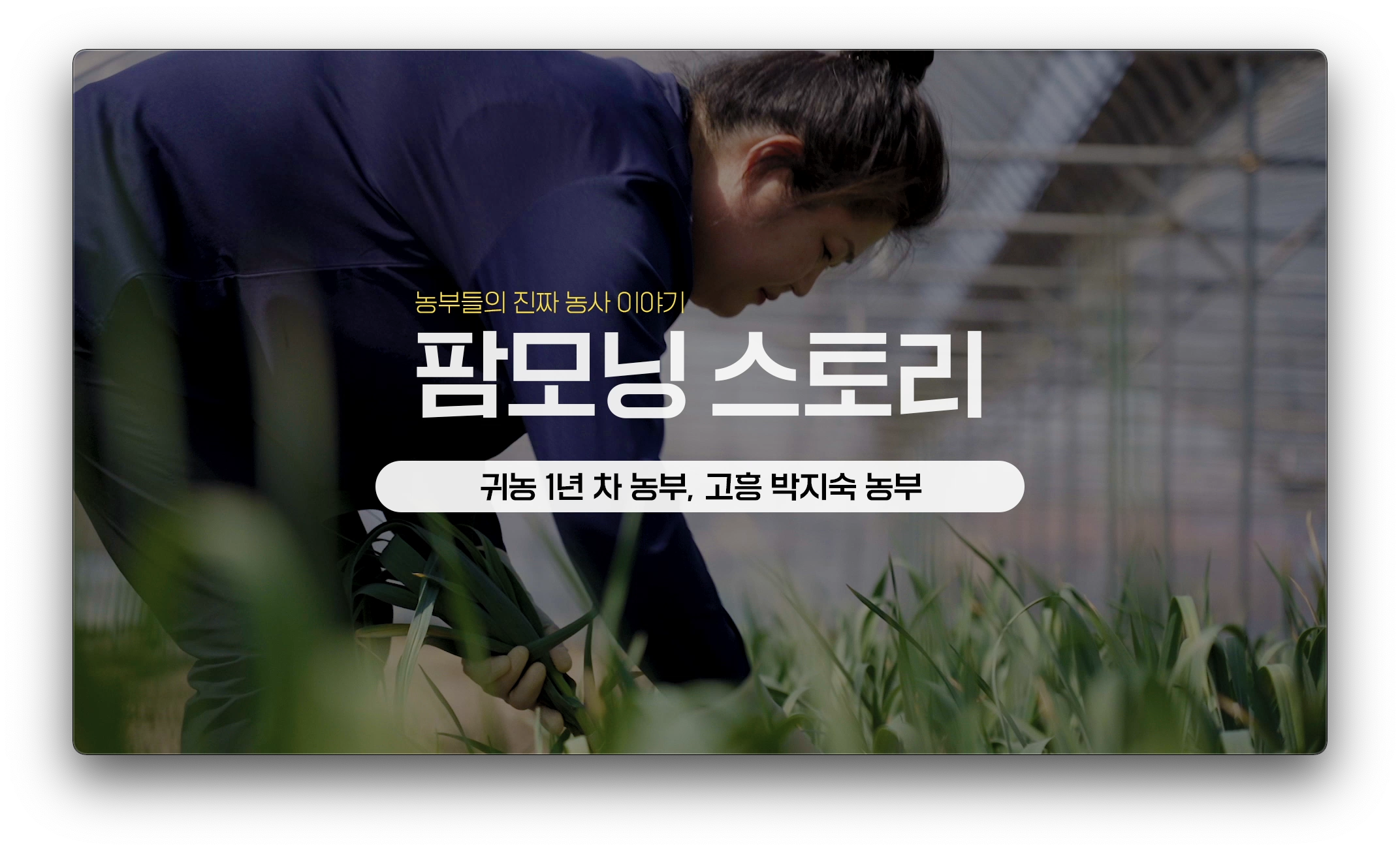 팜모닝 스토리 농민 인터뷰 시리즈 대표 이미지