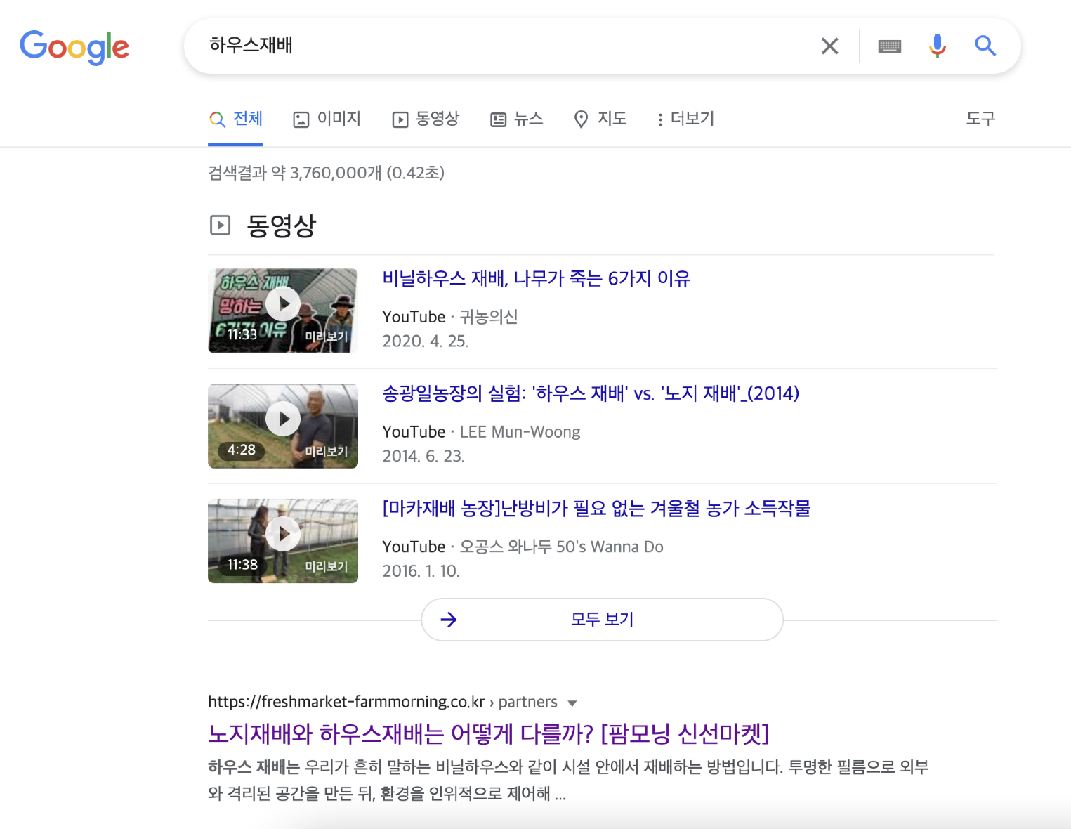 신선마켓 오가닉 콘텐츠 구글 검색 결과 화면